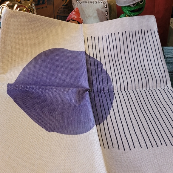 4 Throw Pillow Cases - Picture 4 of 8